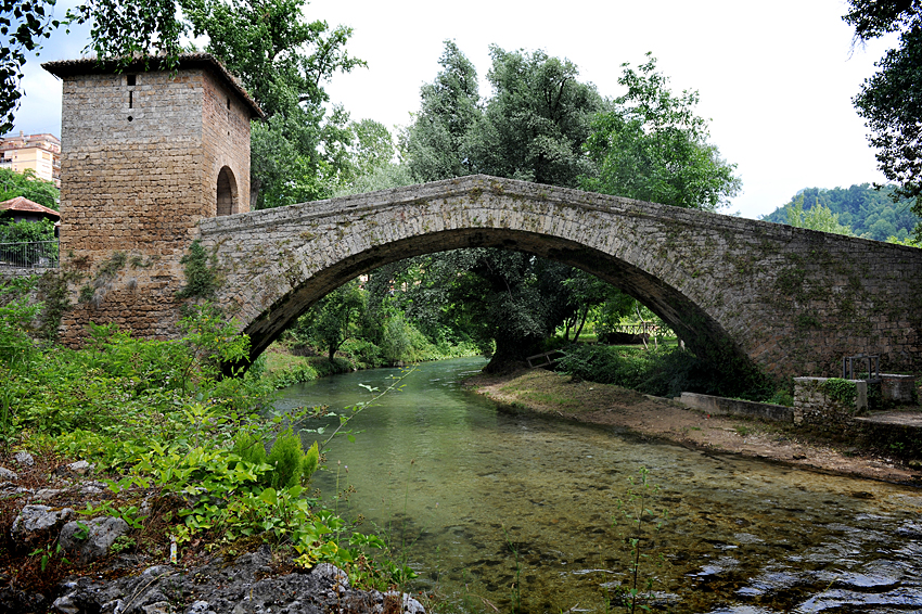 ponte