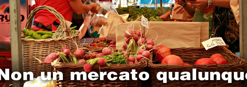 mercatodellaterra